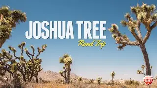 Joshua Tree Road Trip: 1 Day in Joshua Tree National Park
