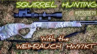 SQUIRREL HUNTING WITH THE WEIHRAUCH HW97KT