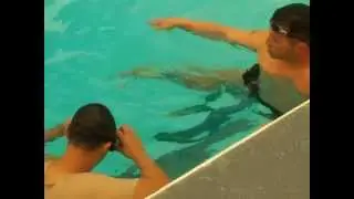 Treading Training with The Abyss