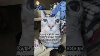 Суть тренда #тренд #кириллплюш #мем #зазу #кот #кошка #игрушки #антистресс