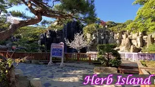 Pocheon Herb Island 포천허브 아일랜드 (경기북부 가볼만한곳)