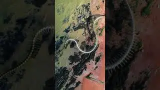 Giant Snake Skeleton Serpent d'Oc&eacute;an by the artist Huang Yong Ping | 4K #drone #shorts