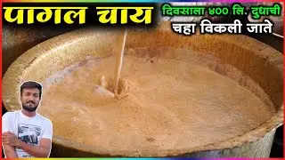 हा चहा केसर युक्त सोळा प्रकारचे मसाले घालून बनवला जातो | Pagal Chai Nanded | Tea