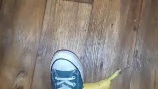 Messy converse banana and waffle crush shoeplay