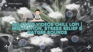 Relaxing Videos Chill Lofi | Meditation, Stress Relief & Nature Sounds