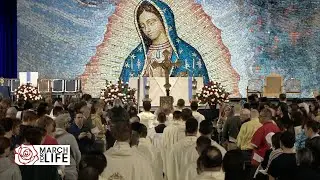 Life Fest Mass