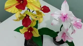 linda orquidia kattleya no frisador da rosa serenata