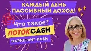 История участницы лучшего фонда