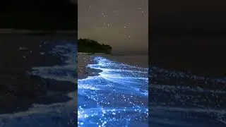 #maldives #sea #glitter #waves #beach