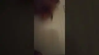Av&iacute;a une vas un hombre que no ten&iacute;a manos