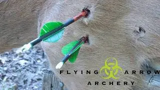 Toxic broadhead performance test!