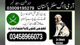 Khoji kutta contact number | Army Dog Center | Fauji dogs | khoji dogs #armydogcenter
