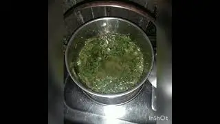 Paggawa ng Oregano Oil Lamp//Pantaboy ng Lamok//Iwas Dengue