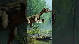 5 Fascinating Facts About Ornitholestes You Didn&rsquo;t Know! 🦖✨ #dinosaurs #dinosaur #prehistoriclife
