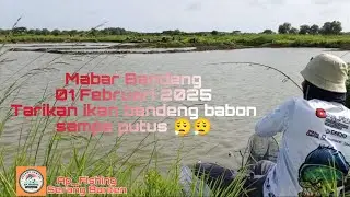 Mabar Bandeng 01 Februari 2025 kp.padek serang Banten ...tarikan ikan babon bikin senar putus 😮&zwj;💨😮&zwj;💨