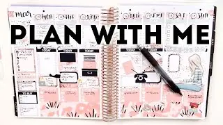 PLAN WITH ME // Work Life (Firefly Paper Shop)