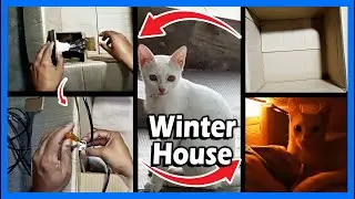 🏠❄️Cat Winter House | Heat control  🐱🔥. DIY Cat house. #mrcheapdiy #DIYCatHouse #HeatedCatHouse