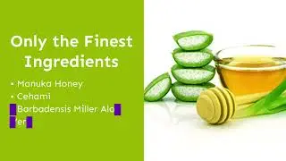 Pet Skin Treatment for Dogs