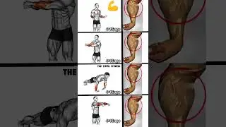Sirf 5 Min Mein Biceps Triceps 🔥 | Arms Workout Without Gym #shorts #trending #workout #arms
