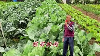 愛你我驕傲