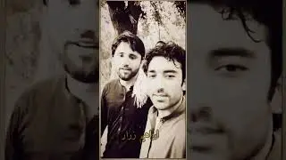 Pa Hal mi dlta har sary khafa dy Ibrahim Zarar new poetry ll Whatsapp status TikTok poetry