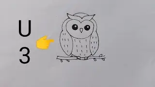 how to draw owl easy for beginner