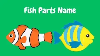Fish Parts Name Educational Video for Kids