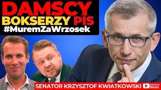 Damscy Bokserzy w PiS! Senator Kwiatkowski komentuje groźby wobec prokurator Wrzosek