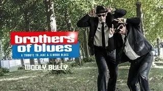 Brothers of Blues - Wooly Bully official music video