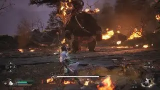 Black Myth: Wukong #06# Goua&iuml; Ours Noir 🥵...Retenter une prochaine fois...