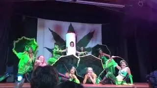 Ganja Faeries of Nimbin Show 2019 - Part III