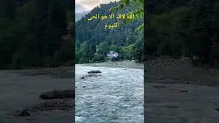 ماشاءاللہ بہت ہی عمدہ نظارہ ہے #trending #youtubeshorts #viralvideo