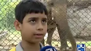 24 Report : Life of Islamabad Zoo starts getting dull