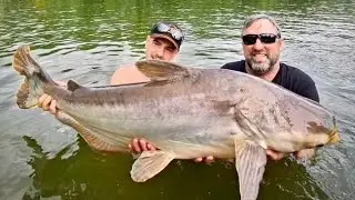 Amazing fisherman skills Net fishing video/unbelievable big Fishing video/Viral/fishing/Viralvideo/