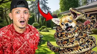 A SNAKE ATTACKED MY DOG!!