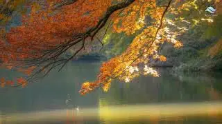 Deep Focus Study Music – No Lyrics, Calm Music for Studying & Concentration