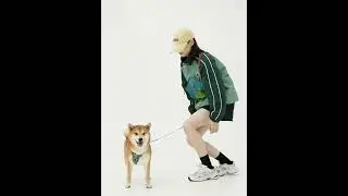 Easy Walking Dog Harness & Leash Kit
