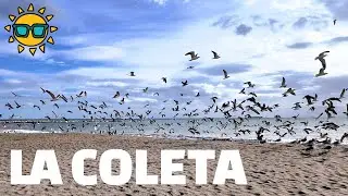 La Caleta Beach 🌊 Spain