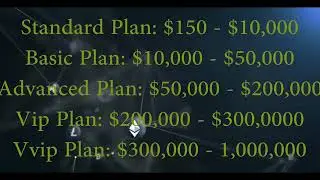 About Multi Fx company and what we  do in multi fx company