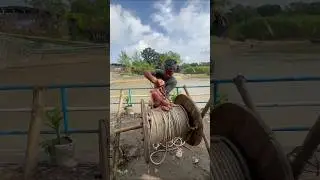 Crazy boy fishing with chicken bait part 05 #fishing