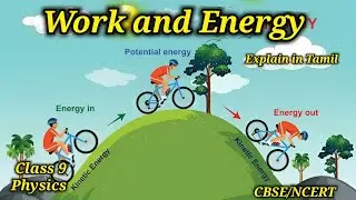 Work and Energy | Class 9 | CBSE NCERT | explain in Tamil | kinetic energy | potential energy