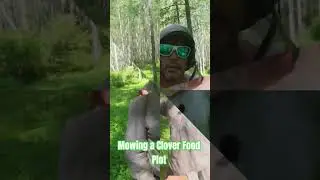 MOWING a Clover Food Plot #deer #whitetail #foodplot #foodplotprep #foodplots #perennial #hunt