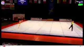 MXP GER1 Cobi EM 2015 Finale 12 18