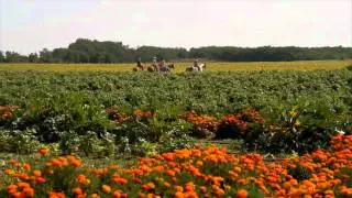 EDEN - Europa Hidden Treasures - Sustainable Tourism