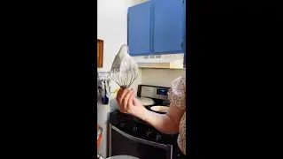 Classic French Meringue Recipe, by Pastry Chef Caroline Schiff