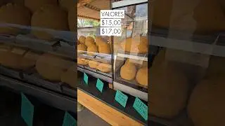 O MAIOR SALGADO QUE JA COMEMOS NA ESTRADA | vlog de viagem 🚛💨