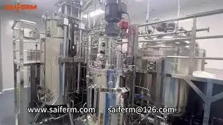 Saiferm 50L-700L Pilot bioreactor stainless steel fermenter #bioreactor #fermentation #fermenter