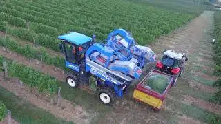 The Best Of 2018 Agricole