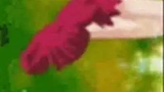 AMV to LITTLE GOD CH@NNEL