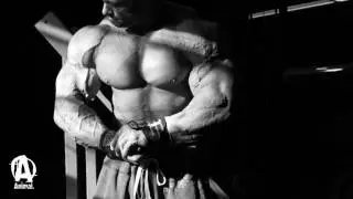 Protein Done Right. ANIMAL WHEY.